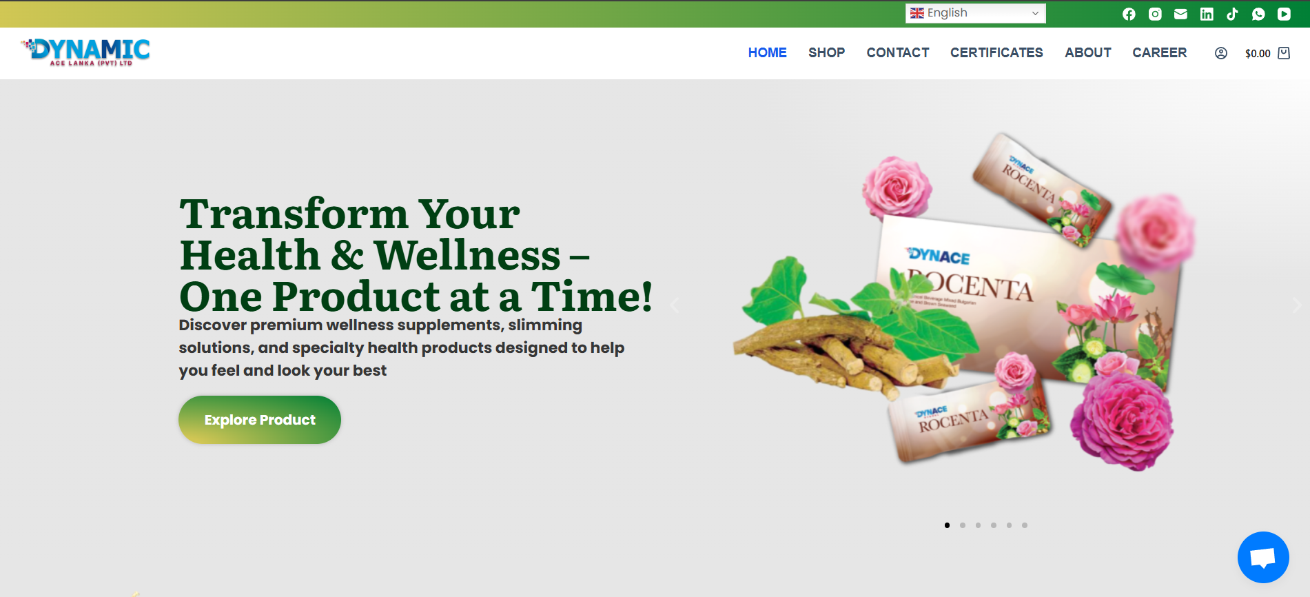 Ecommerce WordPress Website